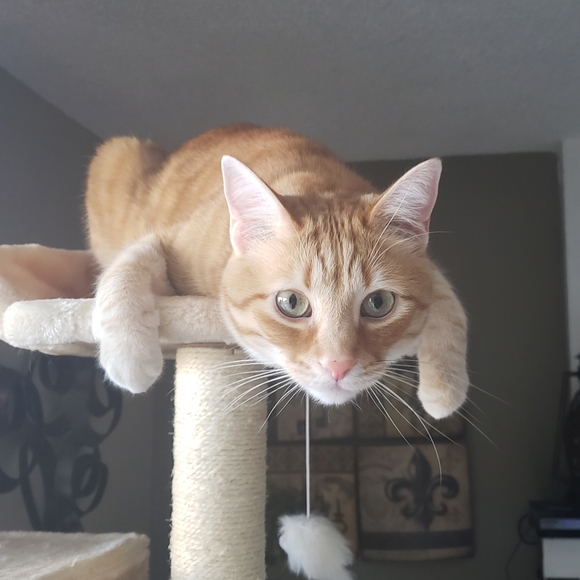 ******Welcome to Colby Alexander's****** - Picture 3 of 3